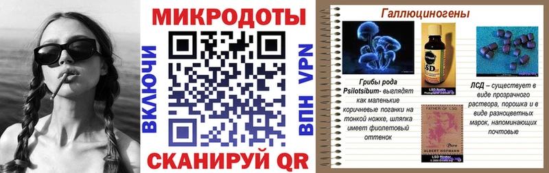 купить   Сальск  Псилоцибиновые грибы Cubensis 