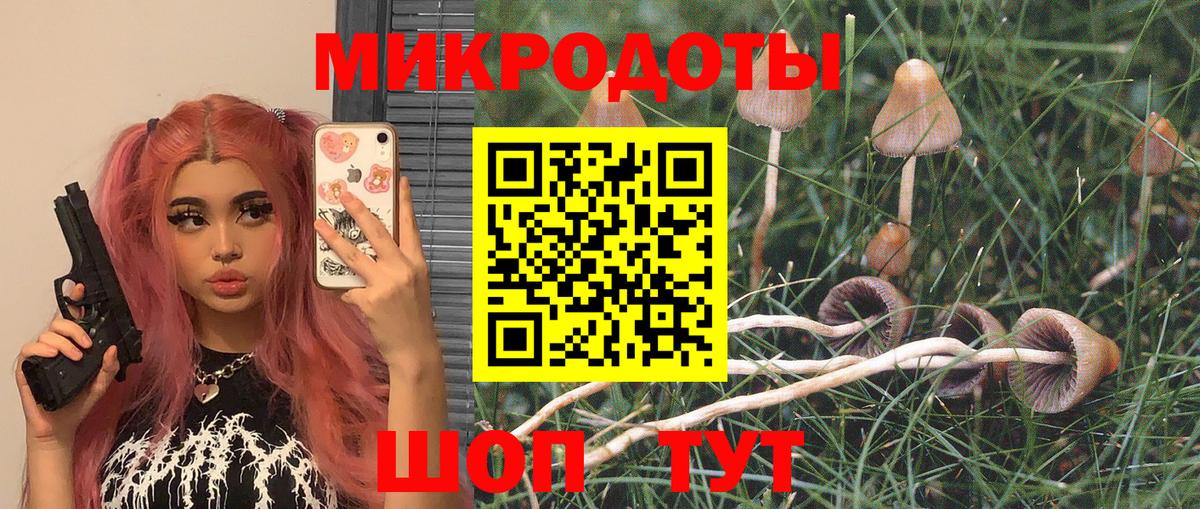 Сальск  Псилоцибиновые грибы мухоморы  Псилоцибиновые грибы Psilocybine cubensis  Вход с VPN 