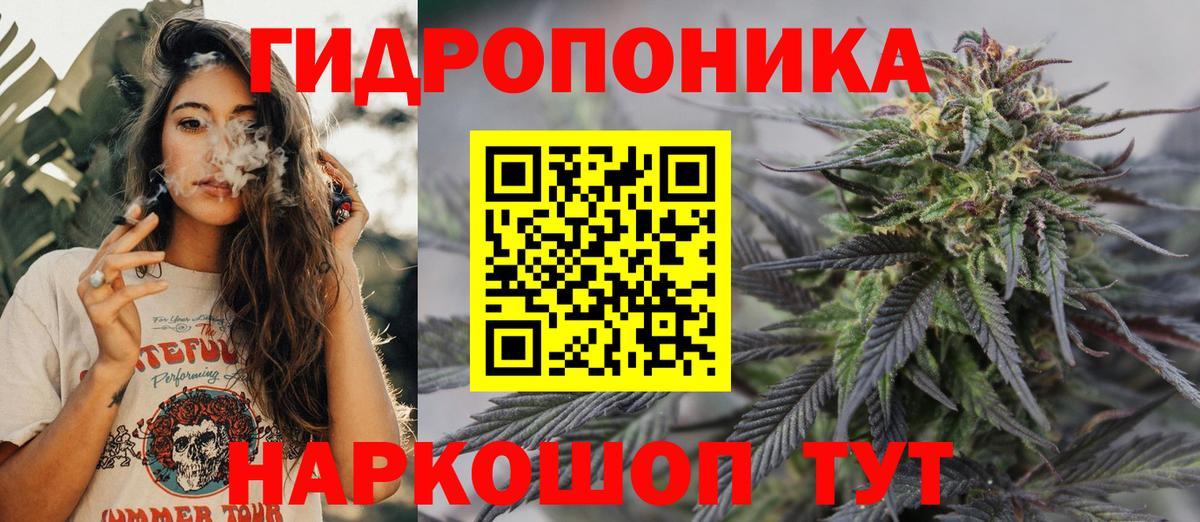 Бошки Шишки Bruce Banner Сальск